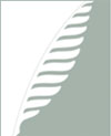The Quill Award