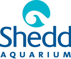 logo_shedd